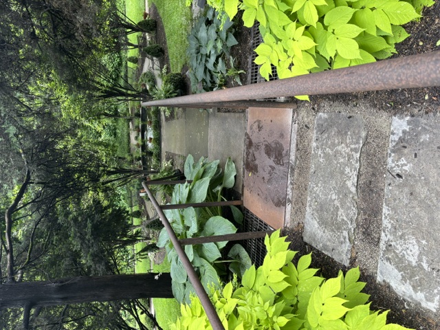 Gallery photo 18